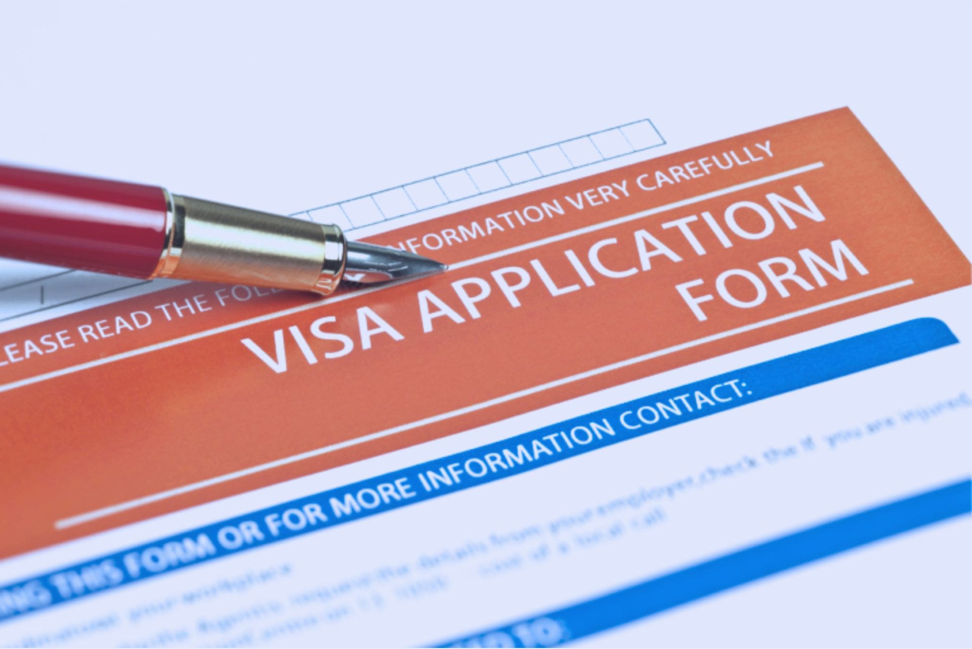 Image showing visa application form